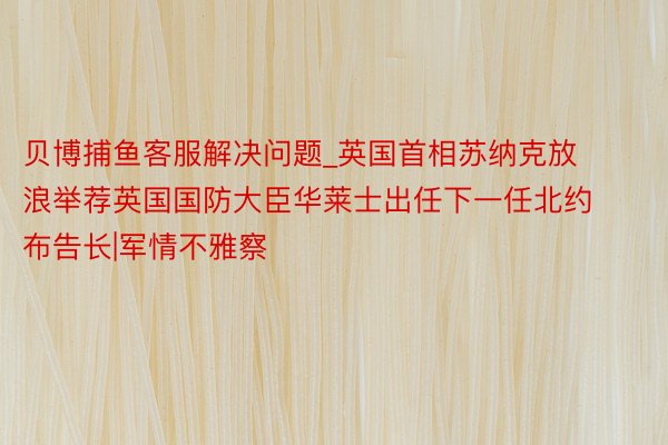 贝博捕鱼客服解决问题_英国首相苏纳克放浪举荐英国国防大臣华莱士出任下一任北约布告长|军情不雅察